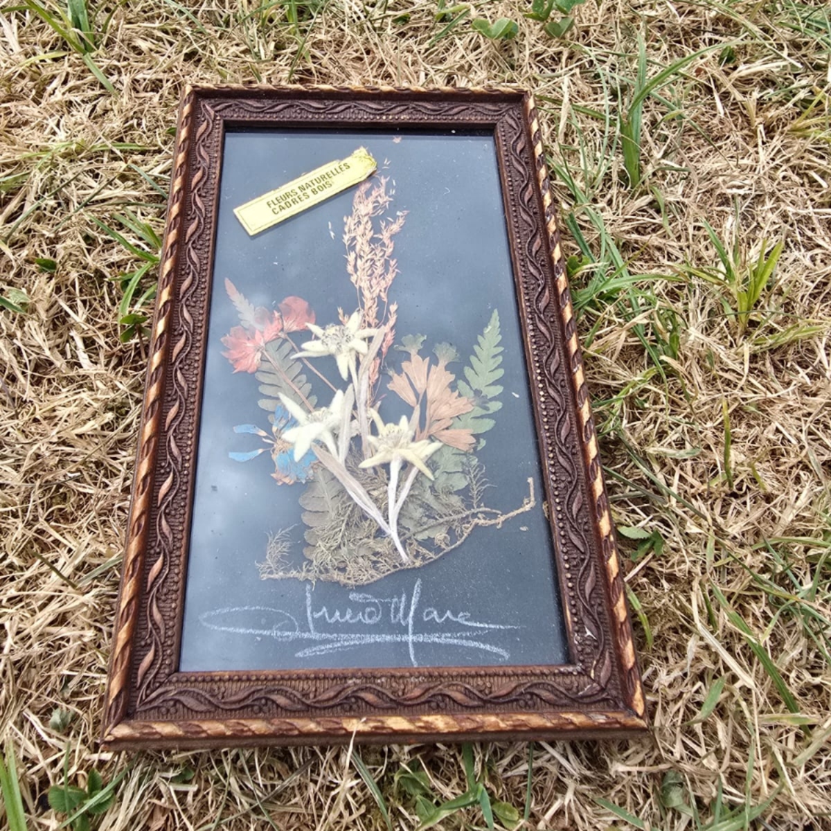 Vintage lijst met droogbloemen